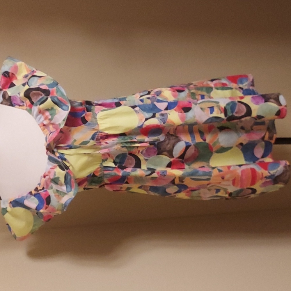TCEC Multicolor Women's Abstract Print Tunic With Ruffled Collar
